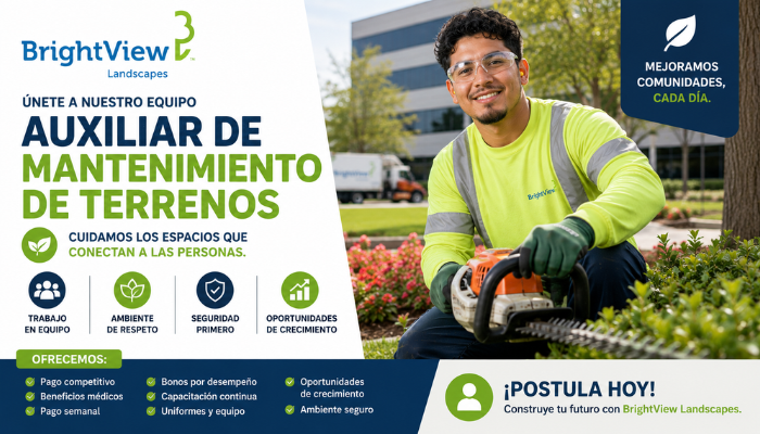 Auxiliar de mantenimiento